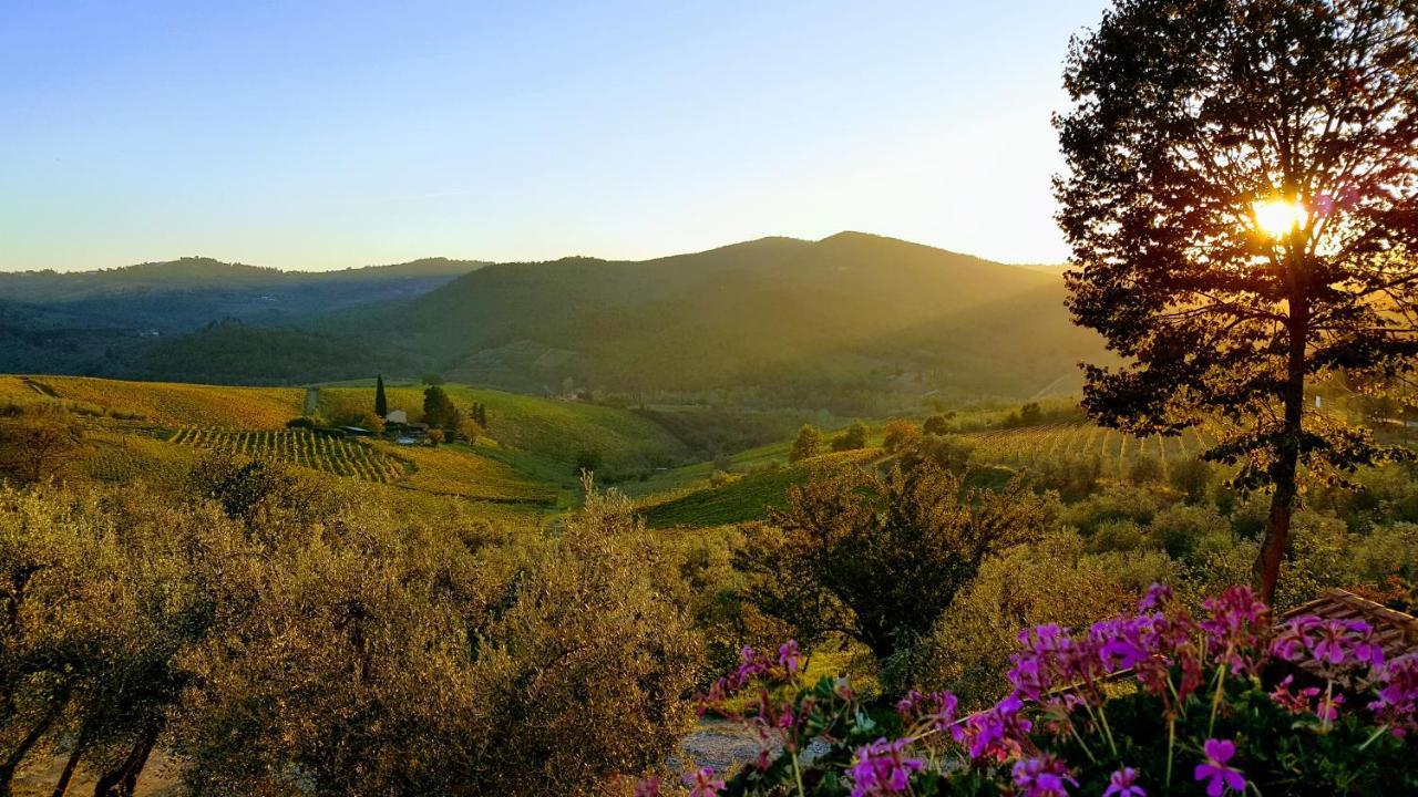 Terre Di Melazzano - Le Case Di Chiara Greve in Chianti Εξωτερικό φωτογραφία