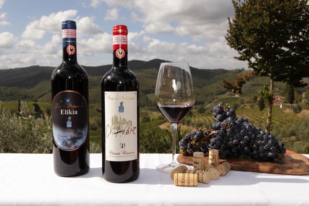 Terre Di Melazzano - Le Case Di Chiara Greve in Chianti Εξωτερικό φωτογραφία