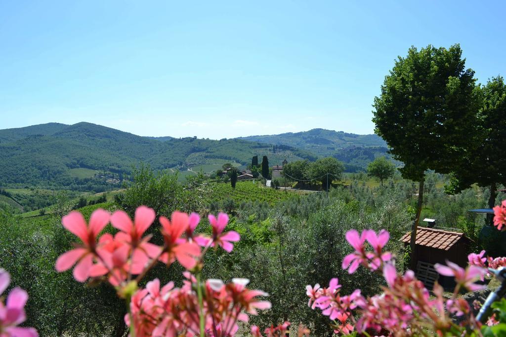 Terre Di Melazzano - Le Case Di Chiara Greve in Chianti Εξωτερικό φωτογραφία