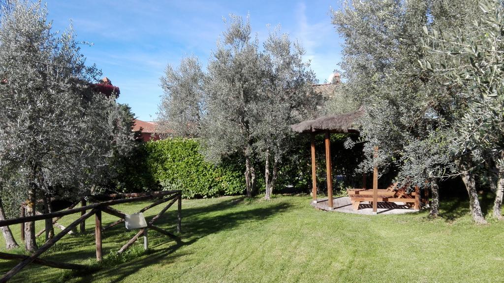Terre Di Melazzano - Le Case Di Chiara Greve in Chianti Εξωτερικό φωτογραφία