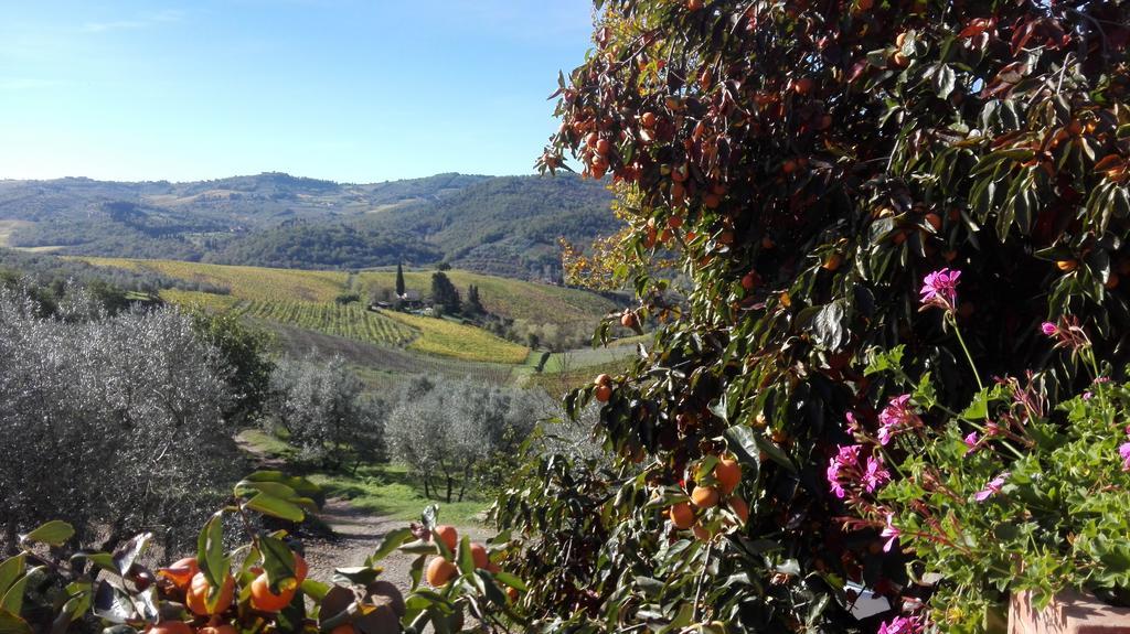 Terre Di Melazzano - Le Case Di Chiara Greve in Chianti Εξωτερικό φωτογραφία