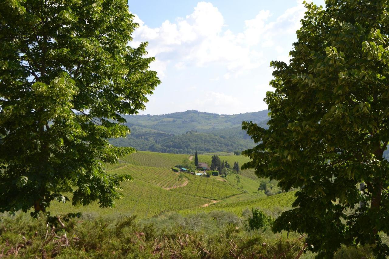 Terre Di Melazzano - Le Case Di Chiara Greve in Chianti Εξωτερικό φωτογραφία