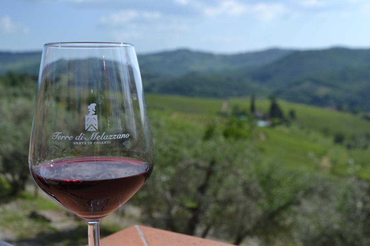 Terre Di Melazzano - Le Case Di Chiara Greve in Chianti Εξωτερικό φωτογραφία