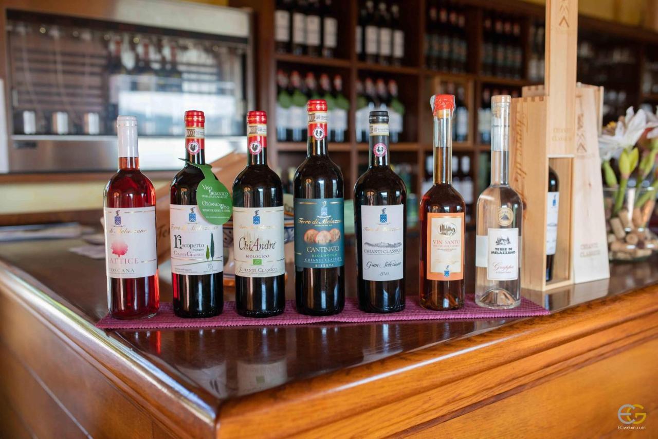 Terre Di Melazzano - Le Case Di Chiara Greve in Chianti Εξωτερικό φωτογραφία